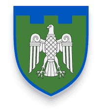 107-ма окрема бригада територіальної оборони