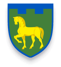 111-та окрема бригада територіальної оборони